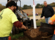 Tree care professionals planting a tree in the fall in Madison, WI.